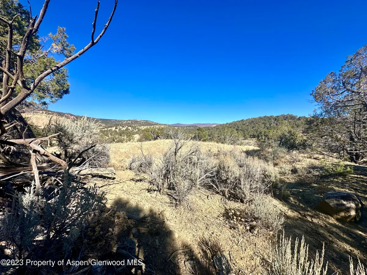 Tbd Cactus Park Road, Cedaredge, CO 81413 - #1