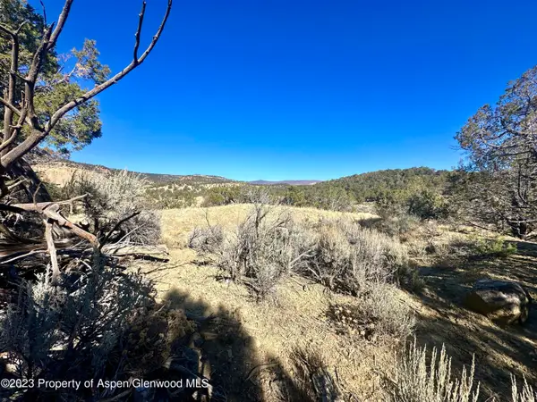 Tbd Cactus Park Road, Cedaredge, CO 81413
