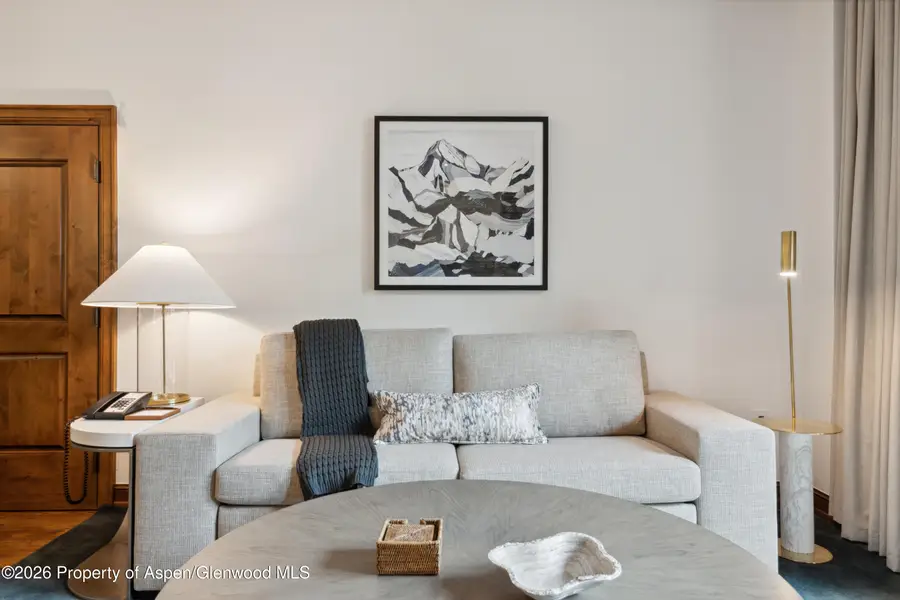 415 E Dean St, Unit 6, Week 11, Aspen, CO 81611 - #3