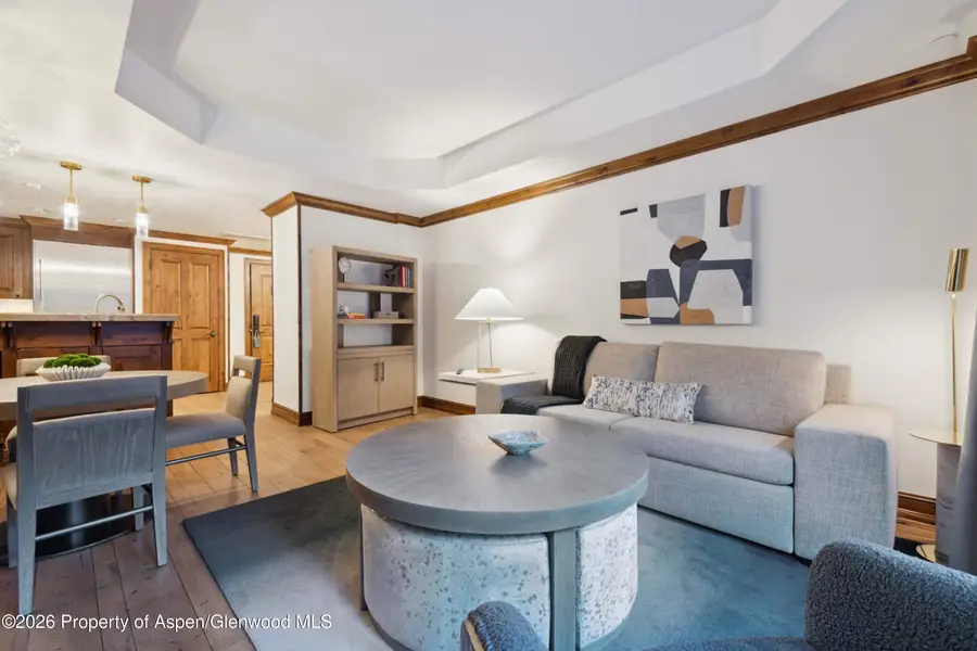 415 E Dean St, Unit 43, Week 12, Aspen, CO 81611 - #3