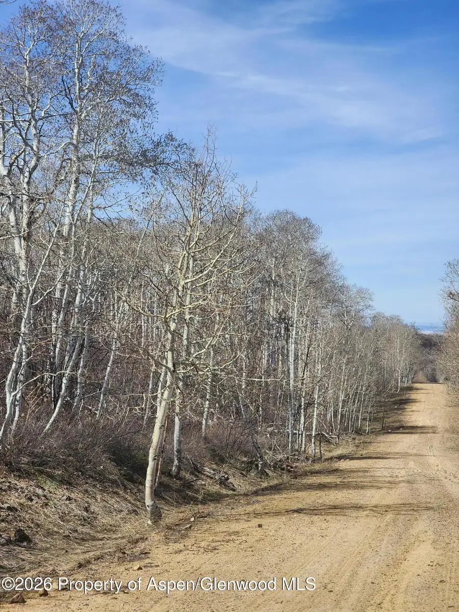 234 Tananger Lane, Craig, CO 81625 - #2