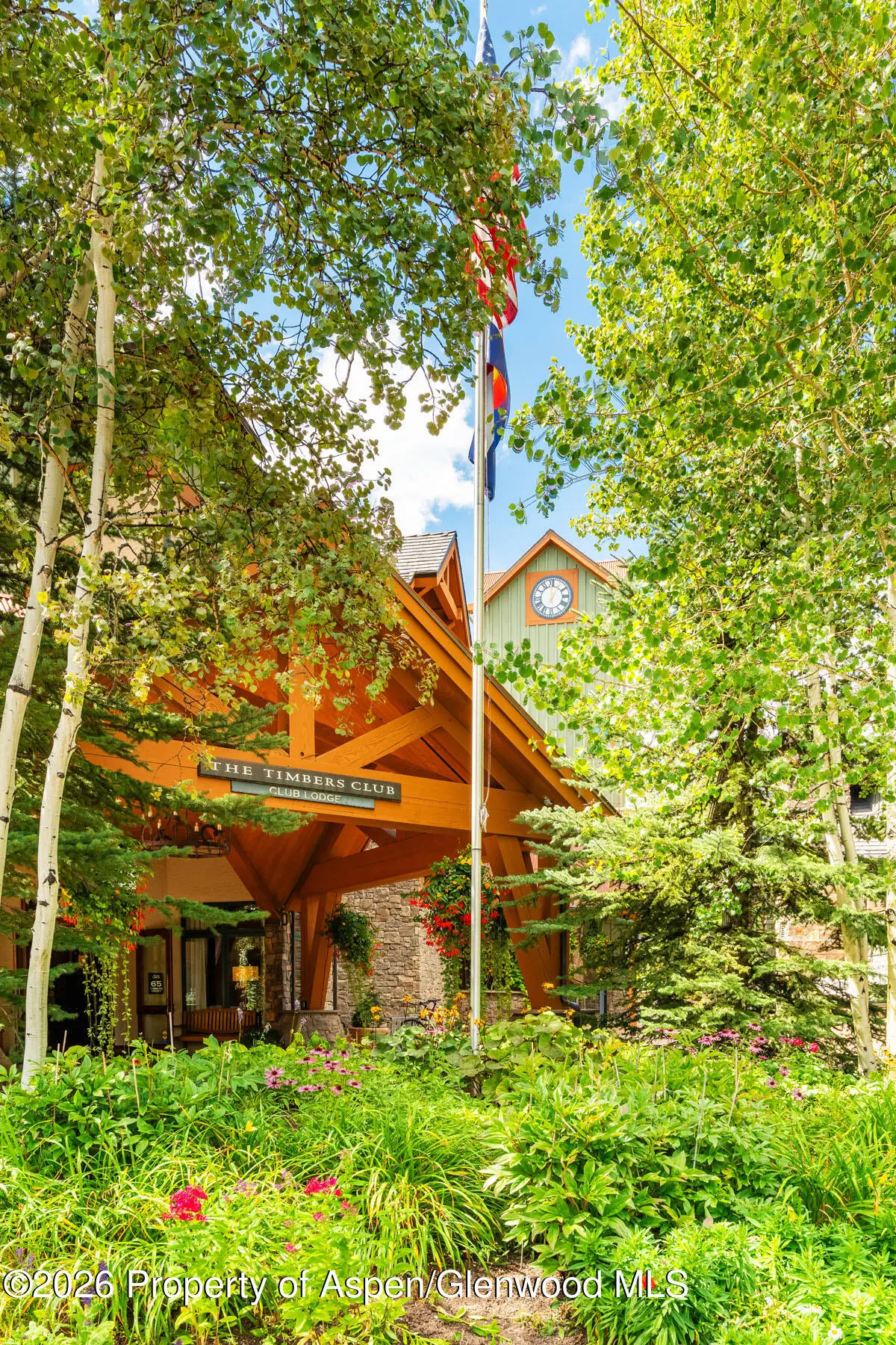 115 Timbers Club Court #B3-1, Snowmass Village, CO 81615 - #1