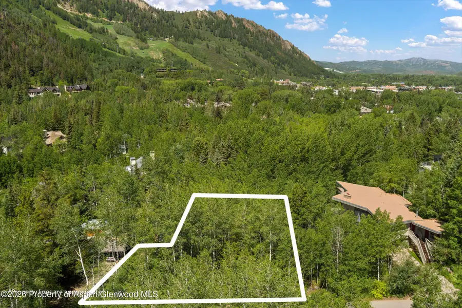 1265 Riverside Drive, Aspen, CO 81611 - #3