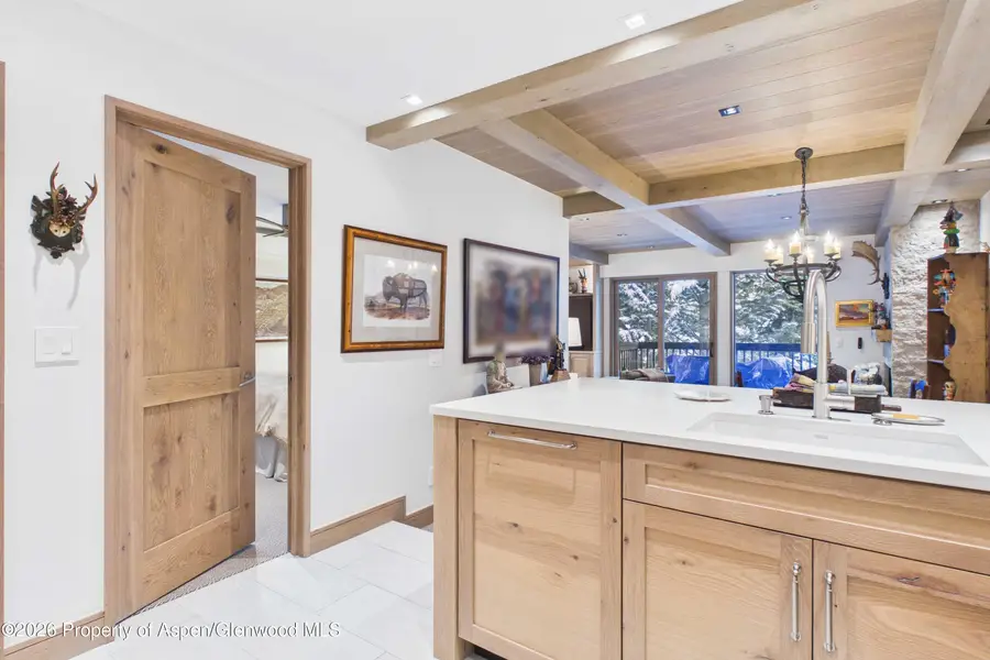 610 S West End Street #G201, Aspen, CO 81611 - #2