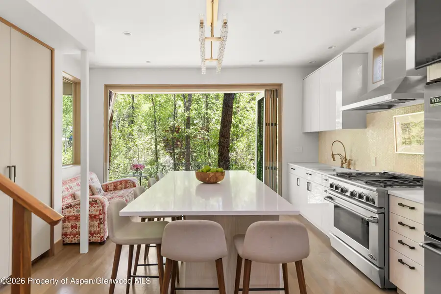 1022 E Hyman Avenue #1 & 2, Aspen, CO 81611 - #3
