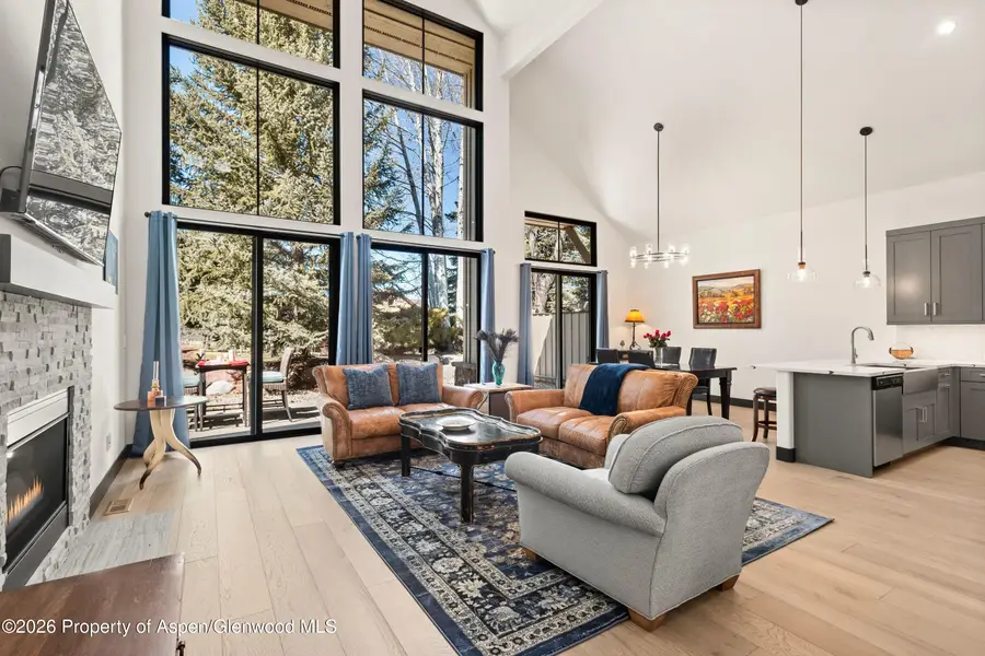 70 Golden Bear Drive, Carbondale, CO 81623 - #3