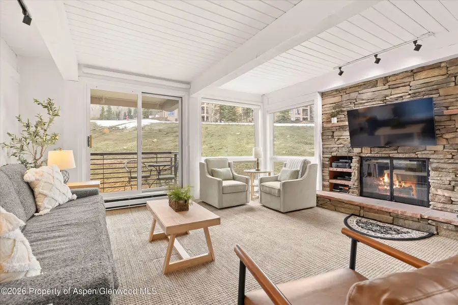 360 Wood Road #209, Snowmass Village, CO 81615 - #2