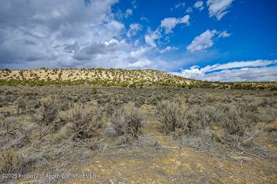 37801 Highway 318, Craig, CO 81625 - #3