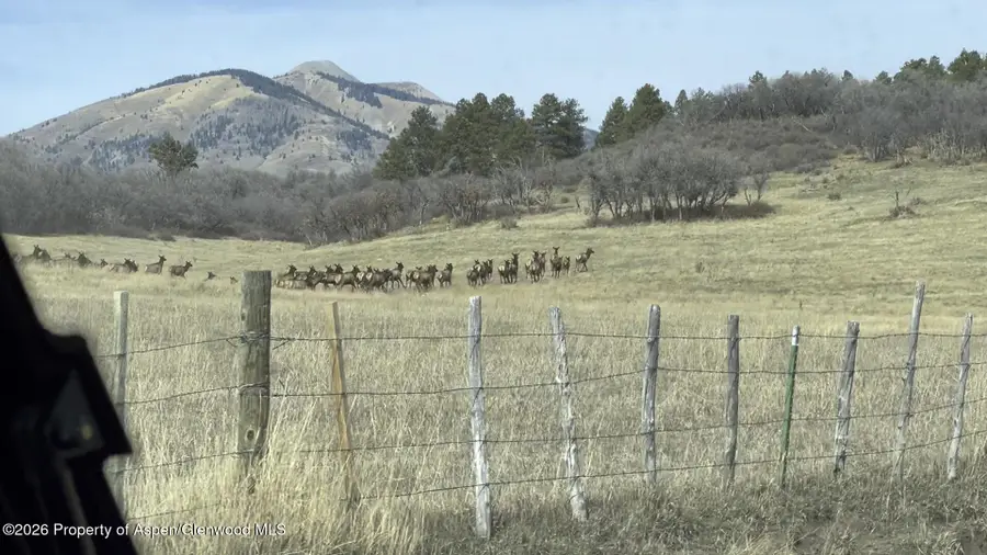 1368 Cr 124, Durango, CO 81301 - #3