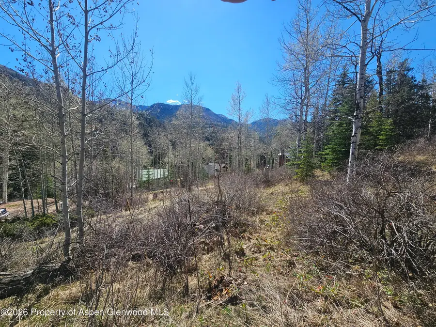 Tbd Bear Creek Lane, Redstone, CO 81623 - #2