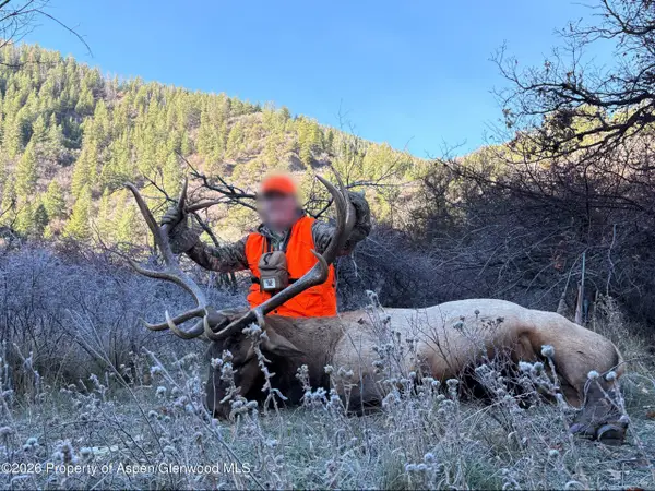 Tbd Highway 13, Rifle, CO 81650