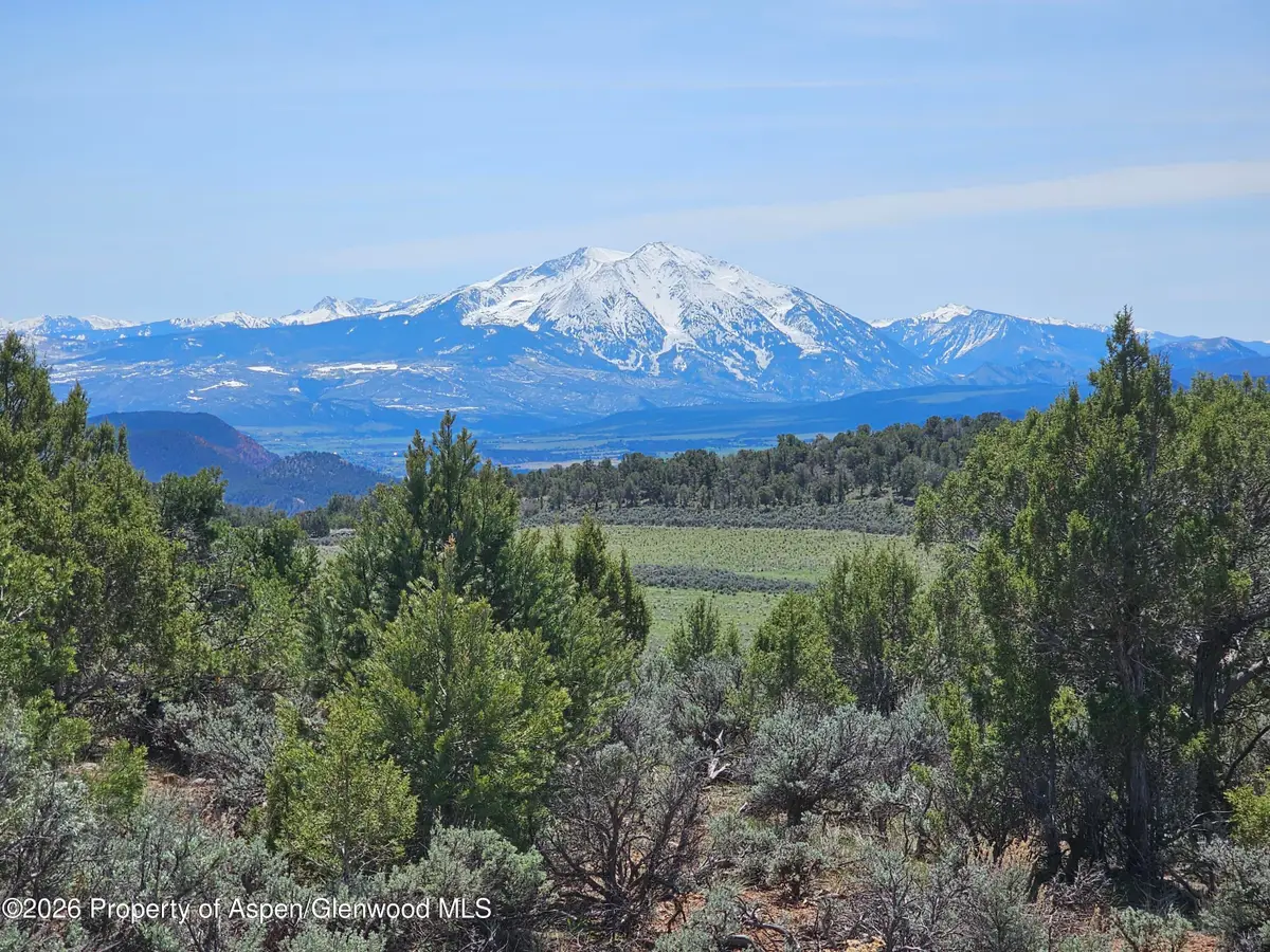 3504 Elk Springs Drive, Glenwood Springs, CO 81601 - #1