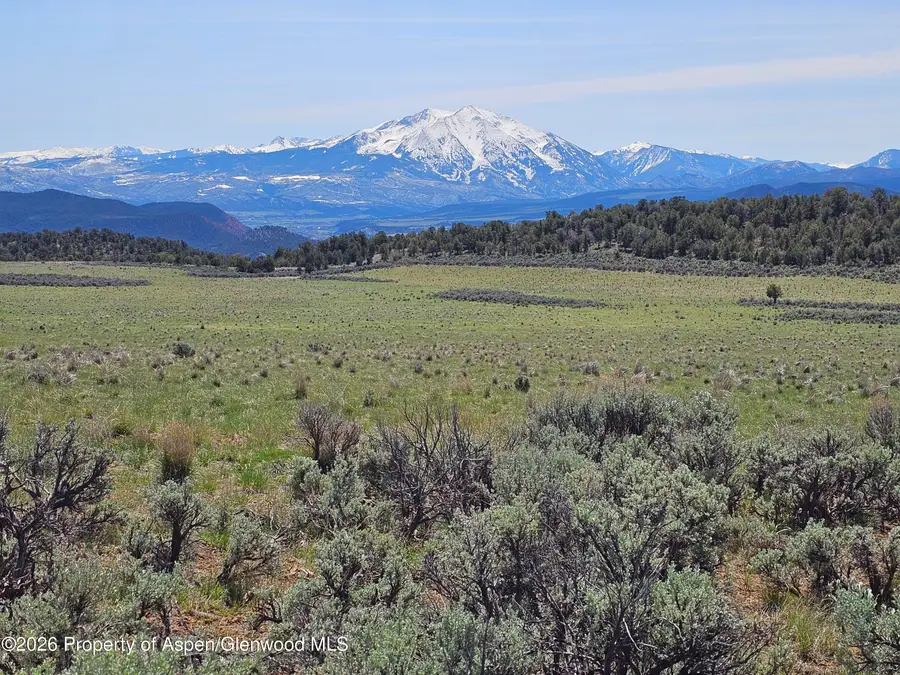 3504 Elk Springs Drive, Glenwood Springs, CO 81601 - #3