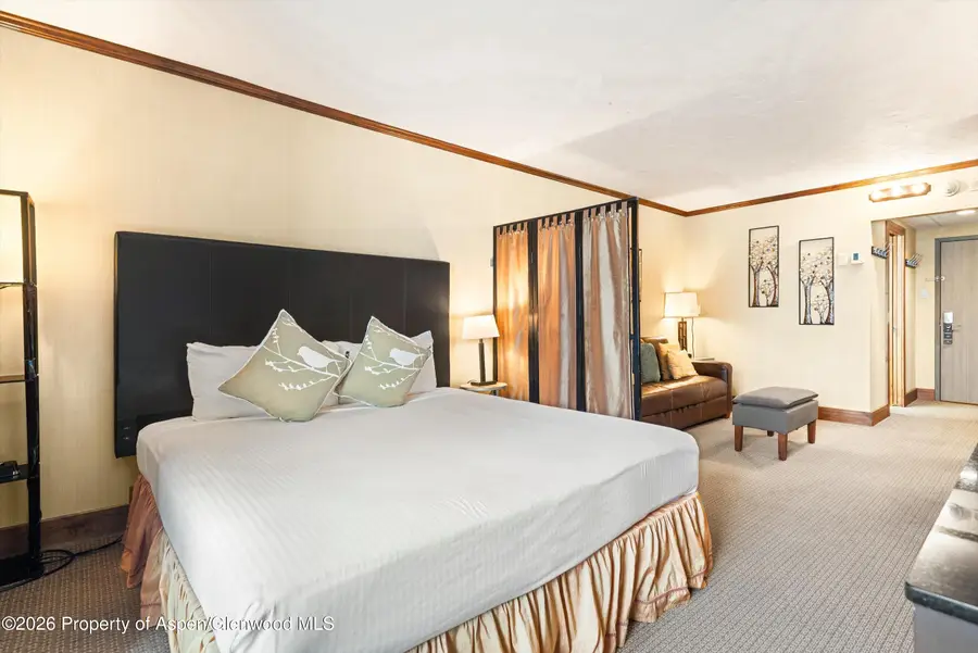 38750 Highway 82 #2203, Aspen, CO 81611 - #3
