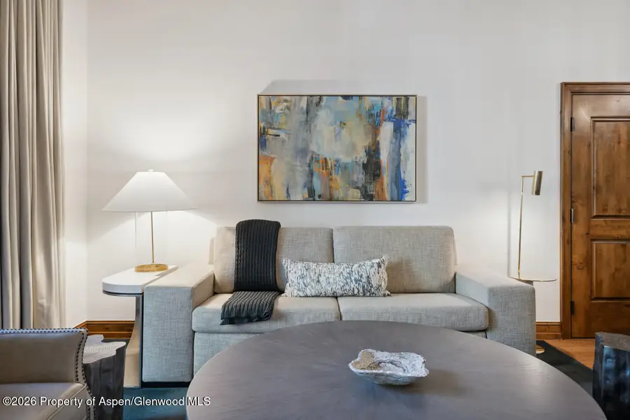 415 E Dean St, Unit 5, Weeks 9 & 10, Aspen, CO 81611 - #3