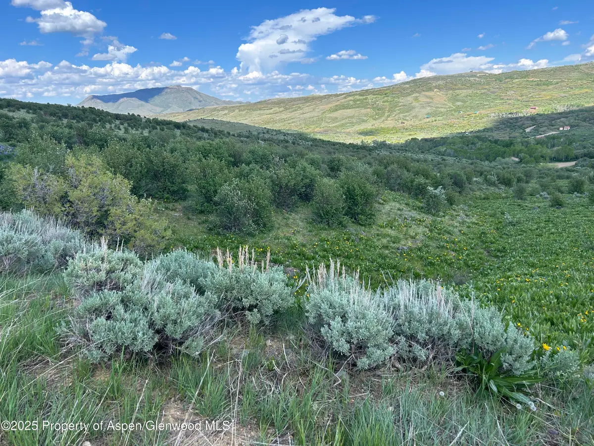 1445 Sprout Drive #Lot 688, Craig, CO 81625 - #1