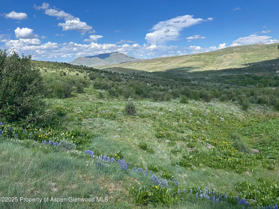 1445 Sprout Drive #Lot 688, Craig, CO 81625 - #3
