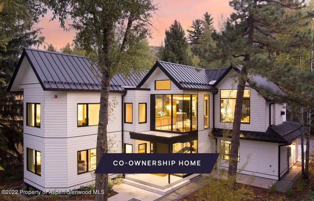 709 W Hallam Street, Aspen, CO 81611 - #1