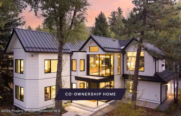 709 W Hallam Street, Aspen, CO 81611