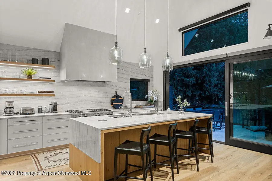 709 W Hallam Street, Aspen, CO 81611 - #3