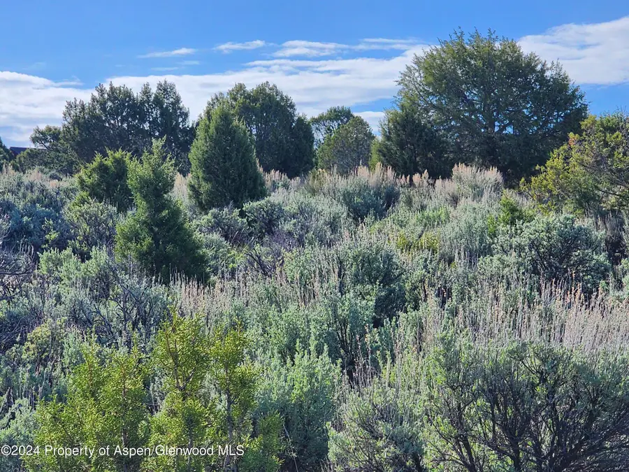 369 Woodruff Road, Glenwood Springs, CO 81601 - #2