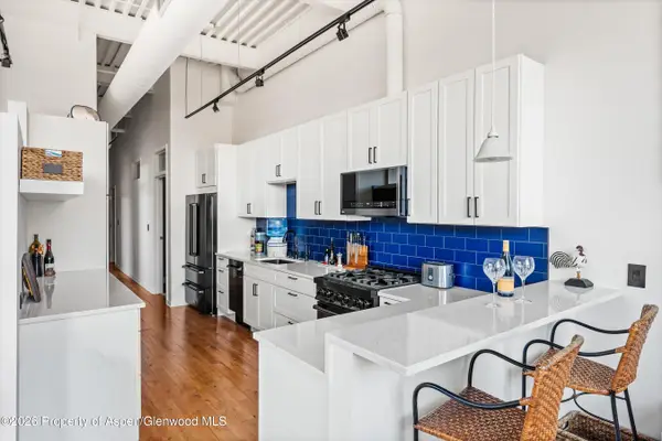 361 Robinson Street #208, Basalt, CO 81621