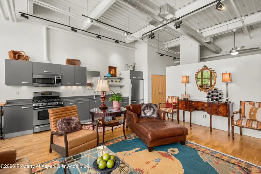 231 Robinson Street #318, Basalt, CO 81621 - #3