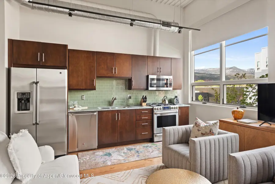 361 Robinson Street #240, Basalt, CO 81621 - #3