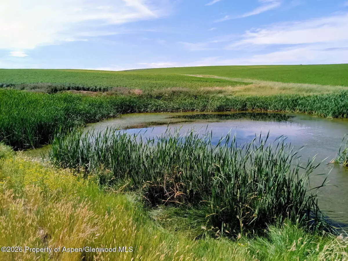 Tbd County Road 18s, Craig, CO 81625 - #1