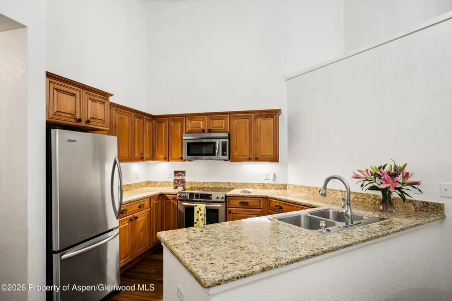 5202 Elk Lane, Basalt, CO 81621 - #2