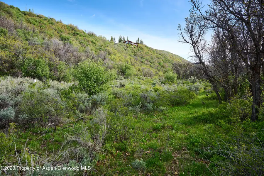 51 Shield O Road, Snowmass, CO 81654 - #3