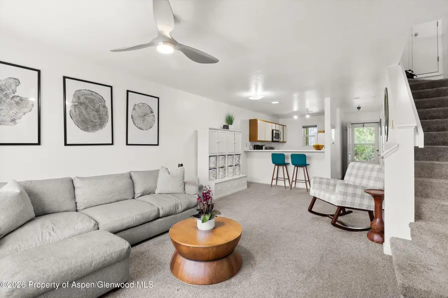 405 Park Avenue #F-2, Basalt, CO 81621 - #3