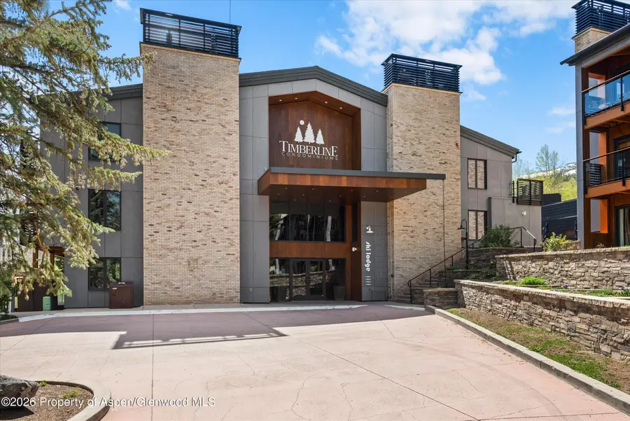 690 Carriage Way #B3g, Snowmass Village, CO 81615 - #2