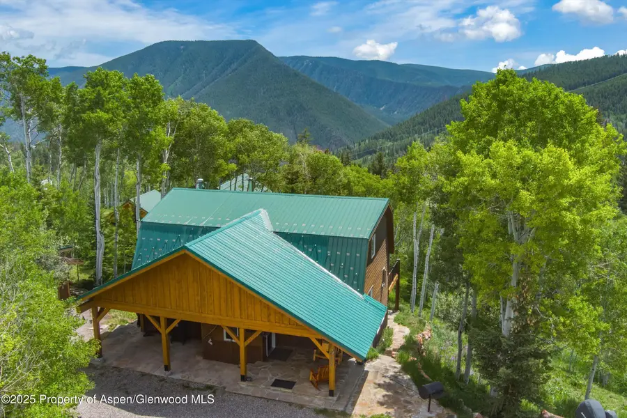238 Hawk Lane, Basalt, CO 81621 - #2