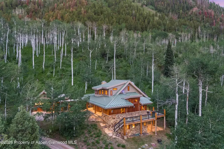 335 Hall Drive, Aspen, CO 81611 - #2