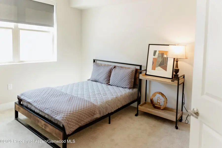 253 Wulfsohn Road #217, Glenwood Springs, CO 81601 - #3