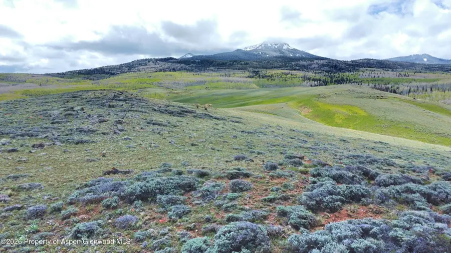993 Eagle Loop Lot 774n, Craig, CO 81625 - #3