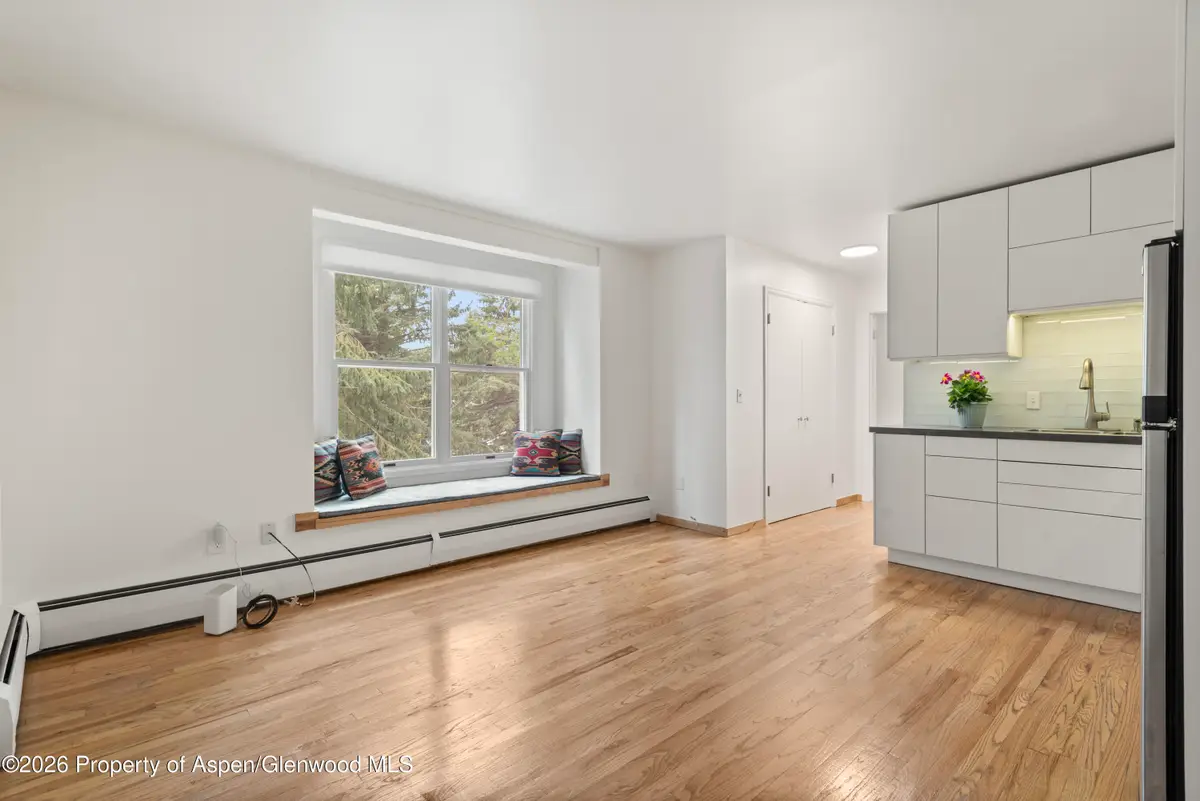 415 Pacific Avenue #C, Aspen, CO 81611 - #1
