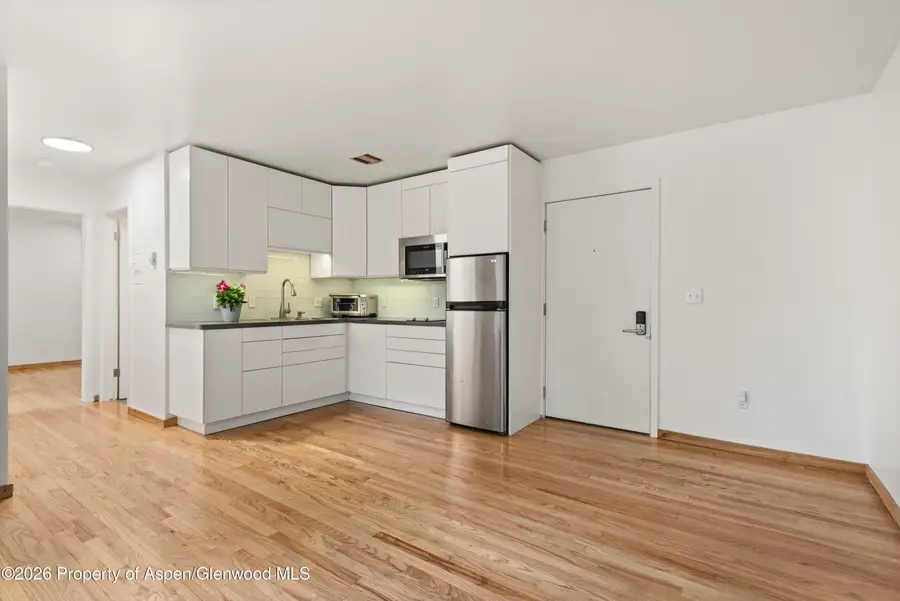 415 Pacific Avenue #C, Aspen, CO 81611 - #3