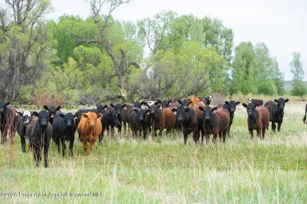 Tbd County Road 77, Craig, CO 81625