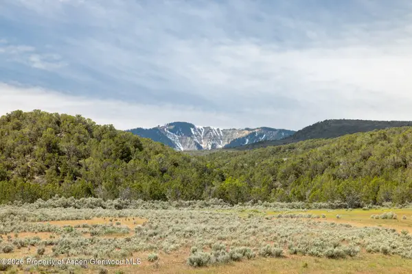 Tbd N Cedar Springs Ranch Road, Rifle, CO 81650