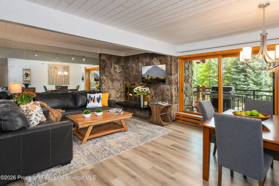 30 Anderson Lane #806, Snowmass Village, CO 81615 - #3