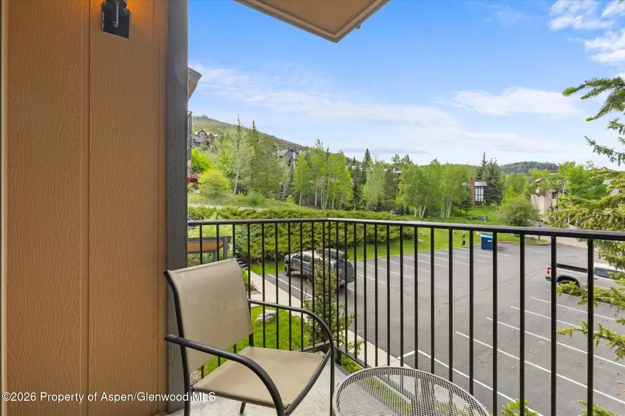 2350 Ski Trail Lane #124, Steamboat Springs, CO 80487 - #3