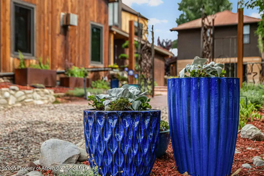 640 Lincoln Avenue #630, Carbondale, CO 81623 - #2