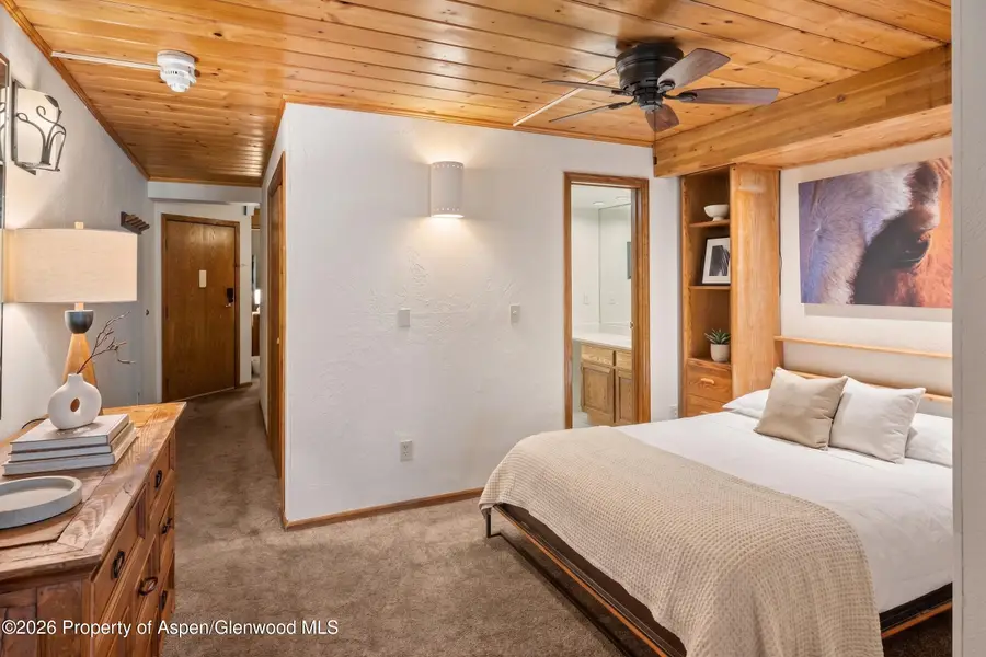 301 E Hyman Avenue #202, Aspen, CO 81611 - #2