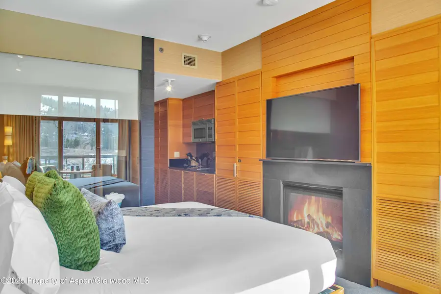 130 Wood Road #736, Snowmass Village, CO 81615 - #3