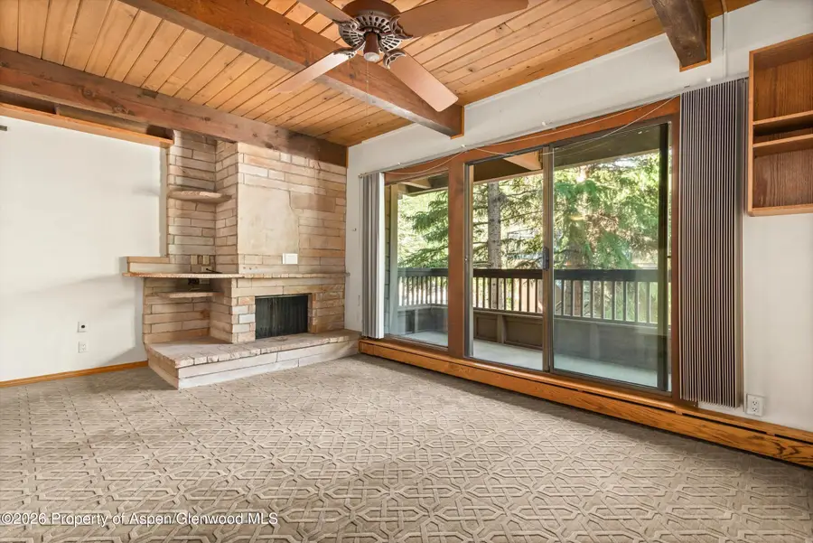 610 S West End Street #J202, Aspen, CO 81611 - #3