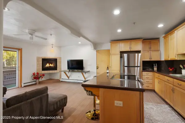 326 Midland Avenue #306, Aspen, CO 81611