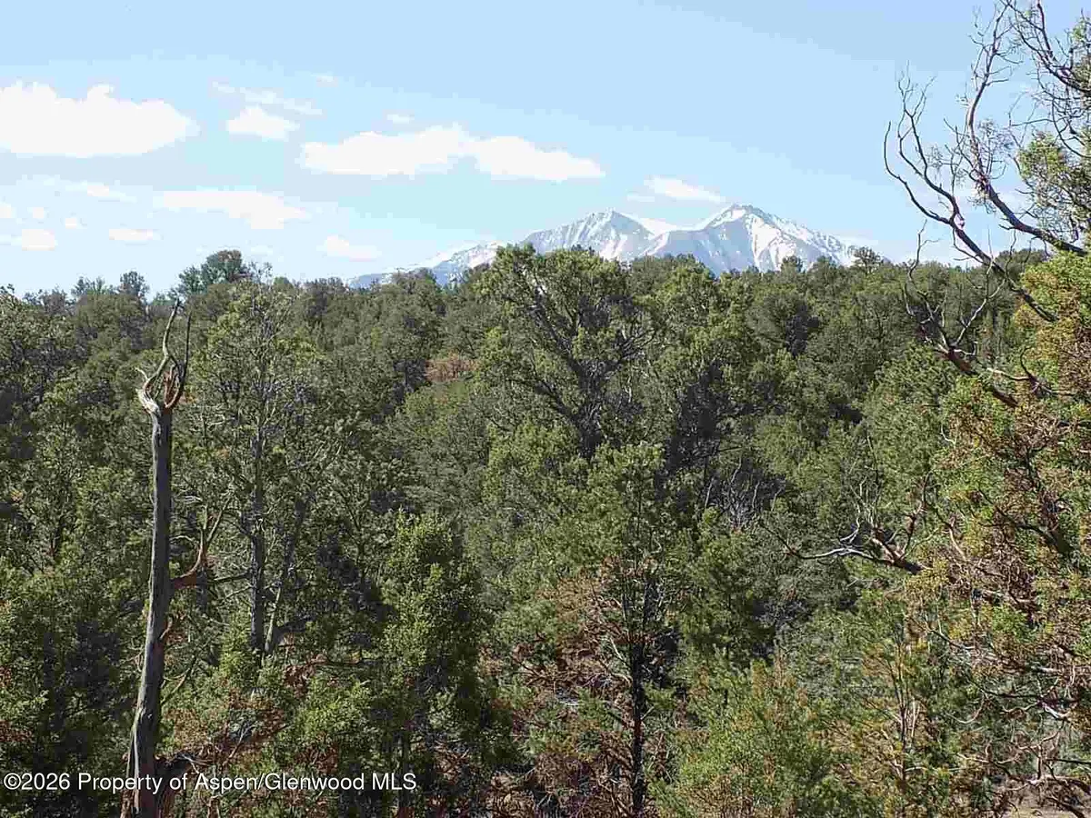 Tbd County Road 107, Carbondale, CO 81623 - #1