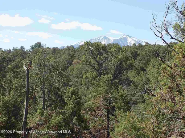 Tbd County Road 107, Carbondale, CO 81623